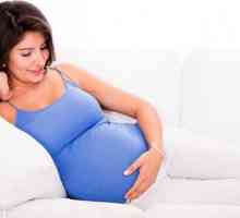Хиперплазия на плацентата по време на бременност