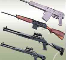Огнестрелни оръжия за лов: преглед, описание и рецензии