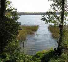 Дълбоко езеро (район Рузски, Московска област): описание, риболов и почивка