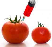 ГМО: препис и опасност