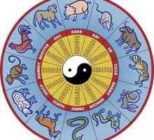 Година на бика: характерна. Знакът на годината на бика в източно-китайския календар