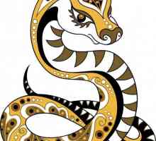 Година змия: характеристики, характеристики