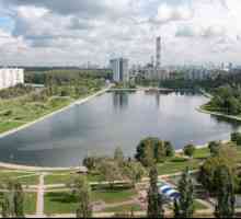 Голяновско езерце: почивка в града