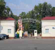 Говивин гробище в Москва: история и наши дни