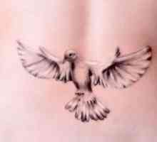 Dove - татуировка, чиято стойност заслужава да се знае