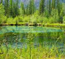 Сините езера на Алтай - чудесно място за релакс