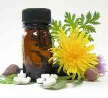 Хомеопатични препарати - какво е това? Как да приемаме хомеопатични лекарства?