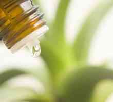 Хомеопатия: прегледи, препарати, плюсове и минуси