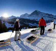 Швейцарски ски курорт Гринделвалд - описание, специални оферти и коментари