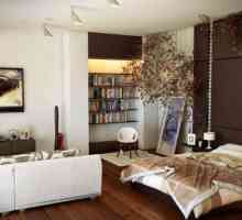 Дневна и спалня в една стая: интериорен дизайн, снимка