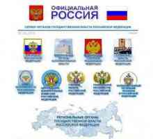 Държавни органи на Руската федерация: определение, дейност и власт