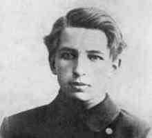 Държавна фигура Андрей Бубнов: биография, постижения и интересни факти