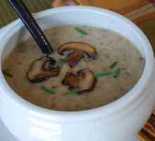 Готвене супа-пюре в миксер: рецепта за вкусна супа гъби