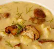 Гъба супа: три варианта на супа