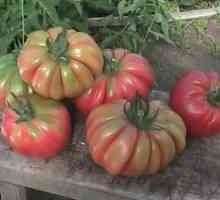 "Гъба кошница" - домат за декорация на вашата маса