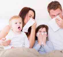 Грип: видове грип, симптоми, лечение, превенция
