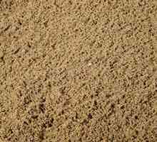 Грим пясъчен глинест - какво е това?