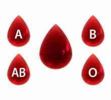 Кръвни групи: схема на кръвопреливане, Rh фактор