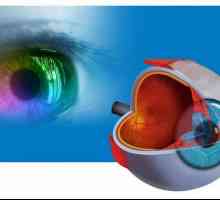 GU "Институтът по очни заболявания" (Ufa): корекция на зрението, диагностика и лечение на…