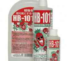 HB-101 (тор): ревюта, ръководство за потребителя