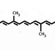 Химия: общата формула на мазнините