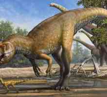 Хищни динозаври - тероподи: описание, начин на живот