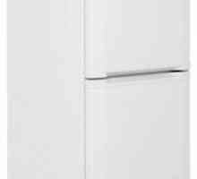 Хладилници BEKO CNL 327104 W: инструкция за употреба,