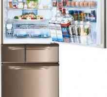 Хладилник Toshiba GR-D62FR: описание, технически характеристики, съвети