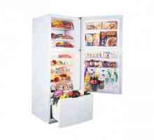 Хладилници "Toshiba": преглед на най-добрите модели, потребителски мнения и снимки