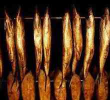 Студено пушене на риба: технология, рецепти. Каква риба е по-добре да се пуши в пушенето? Студената…