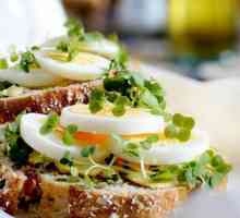 Студени сандвичи: бързи и лесни закуски