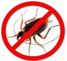 Добро средство за защита от хлебарки или как да се отървете от досадни съседи