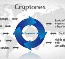 Бихте ли искали да купите крипто валута? Изберете Cryptonex
