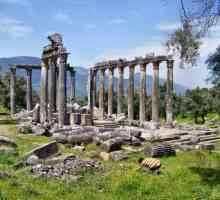 Храмът на Зевс в Олимпия и методите му