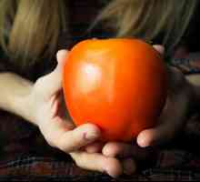 Райска ябълка - полза, вреда, лечебни свойства, калоричност и противопоказания