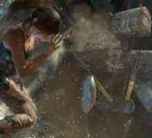 Възходът на Tomb Raider не започва: възможни причини и решения