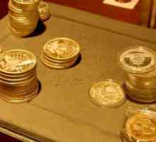 Игра "Златотърсач": ревюта, описание, теглене на пари