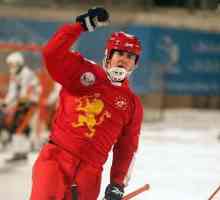 Играч на руския национален отбор по хокей Сергей Ломанов