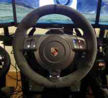 FANATEC Porsche 911 GT2 игра на волана: описание и ревюта
