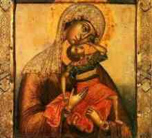 Икона на Богородица "Еволюцията на бебето": смисъл, молитва, какво помага