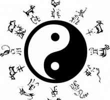 Yin-yang татуировка: значението и местоположението на приложението