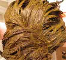 Индийска къна за коса: рецензии, особено оцветяване и препоръки