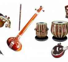 Индийски музикални инструменти: Струни, ветрове, ударни инструменти