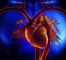 Инфаркт: какви са причините за появата, първите признаци, диагнозата и лечението. Видове инфаркти