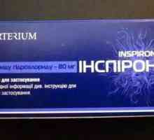"Inspiriron" (таблетки): инструкции за употреба. Таблетки и сироп "Inspiron":…