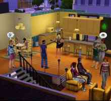Инструкции: как да премахнете добавките в "The Sims 3".