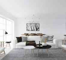 Интериорът на апартамента в скандинавски стил: дизайн и функции