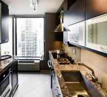 Интериори на кухни в апартамент и частна къща: идеи, снимки