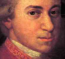 Интересни факти от живота на Моцарт. Волфганг Амадеус Моцарт: Биография