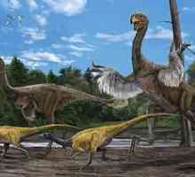 Интересни подробности за праисторическите животни. Динозаври и други праисторически животни